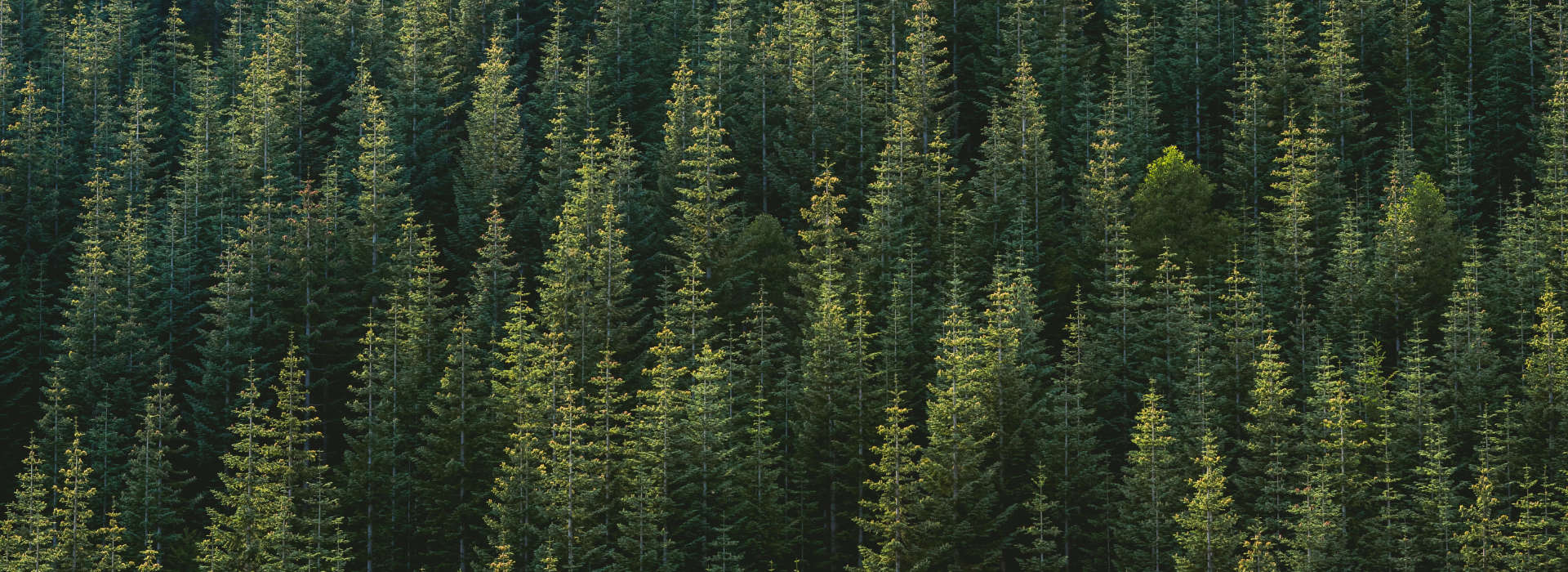 Roughly, How Much CO2 is saved by our Textile Recycling operations?