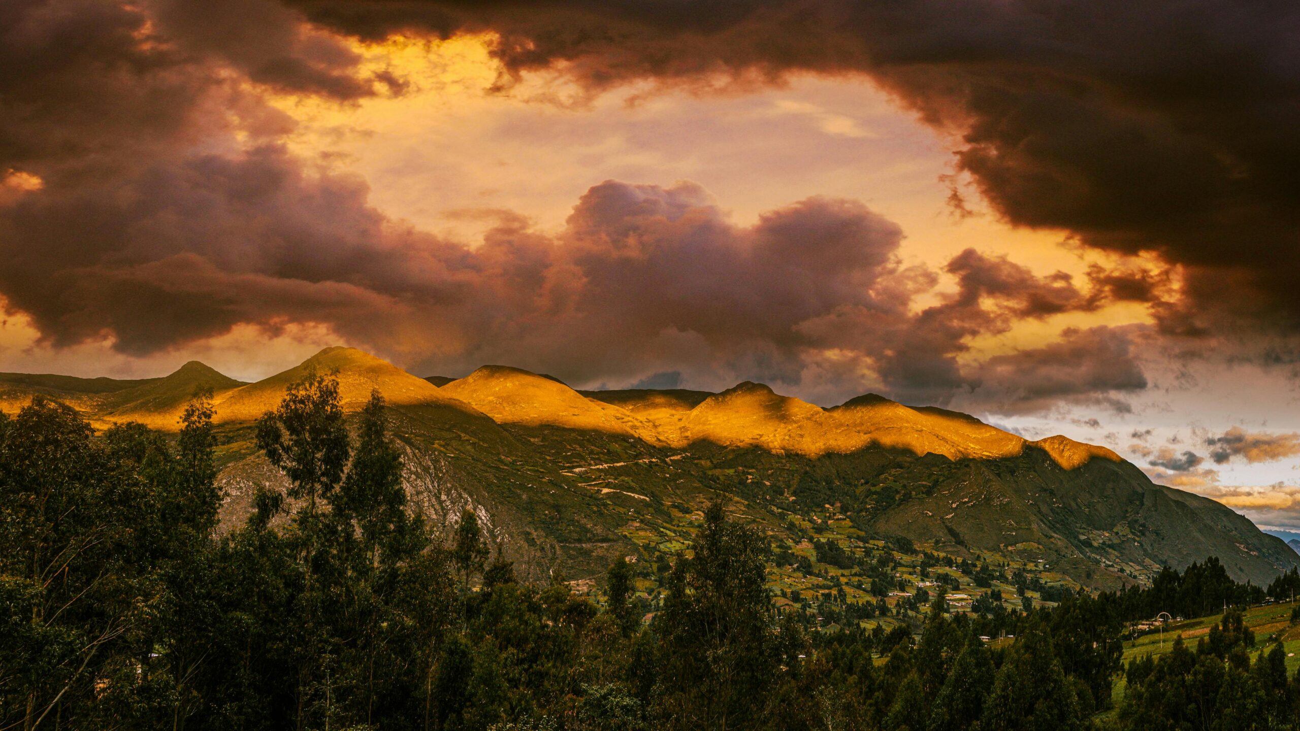 5 Ways To Help Benefit The Environment