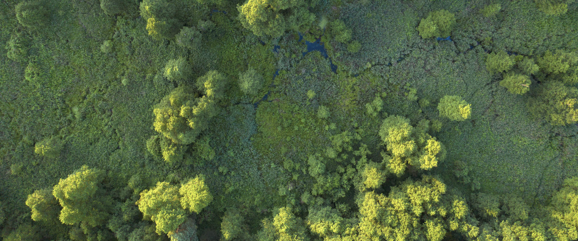 Weekly Sustainability Roundup: Transforming the Fashion Industry