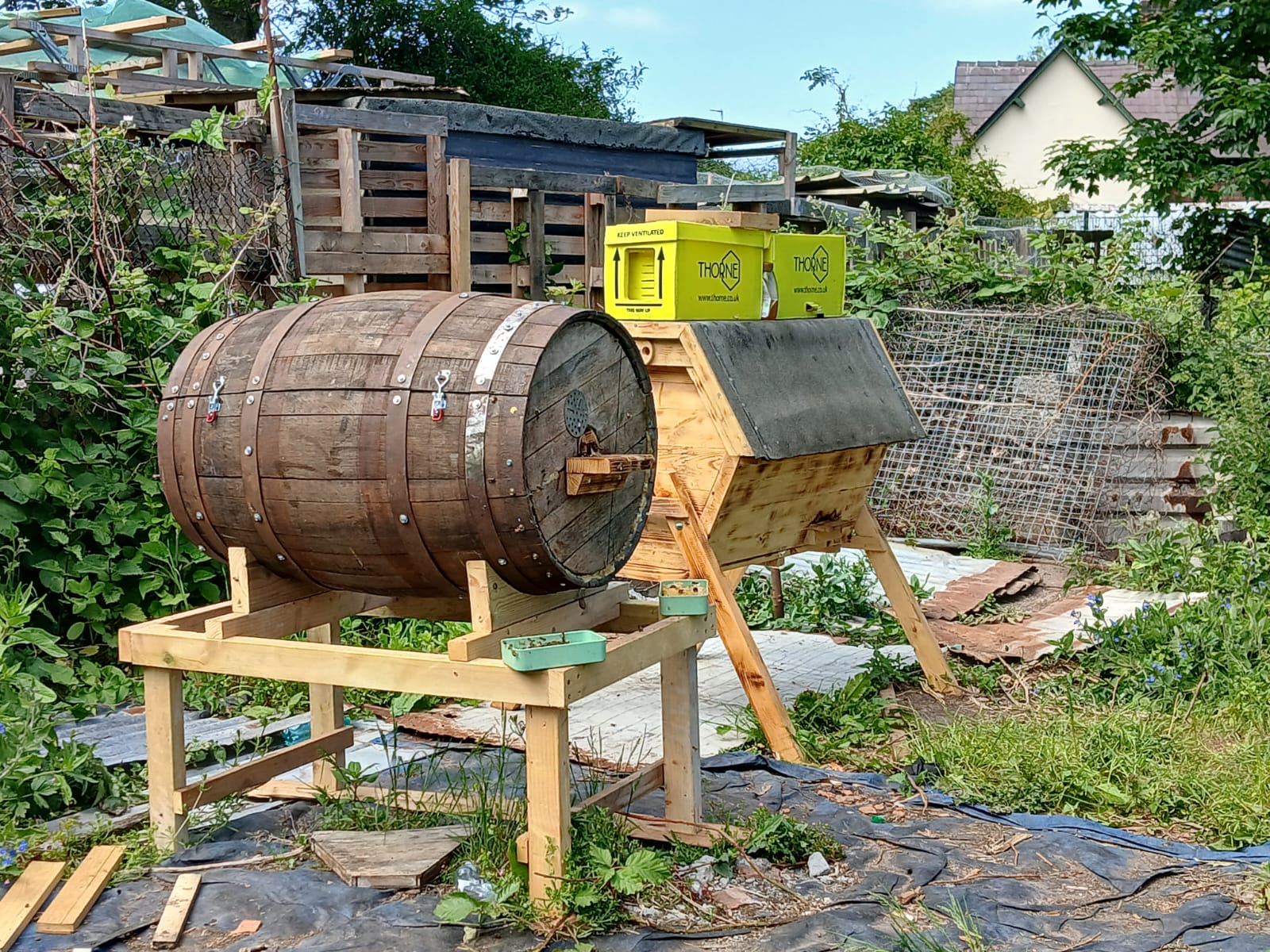 5 Ways You Can Help Bees, This World Bee Day