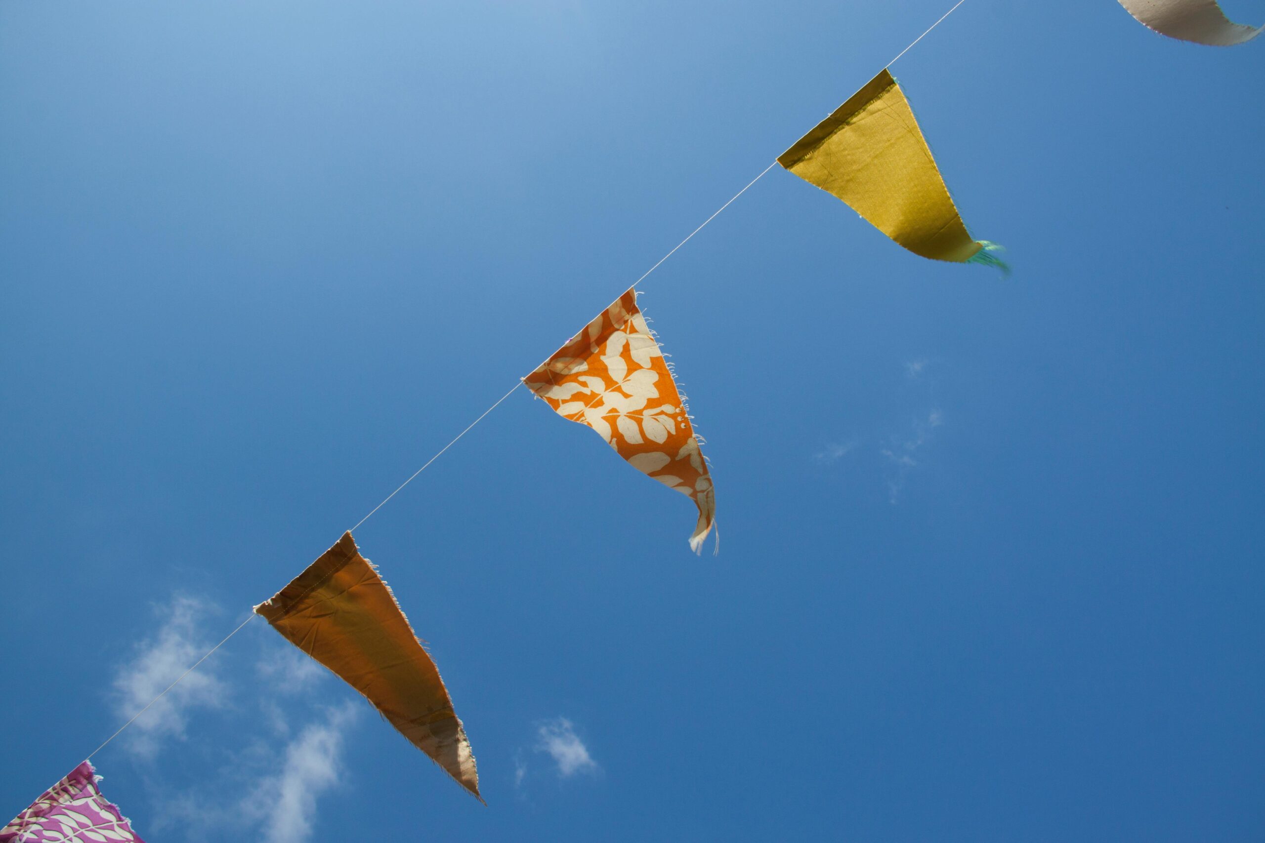 Summer-Party Ready with DIY Reusable Bunting